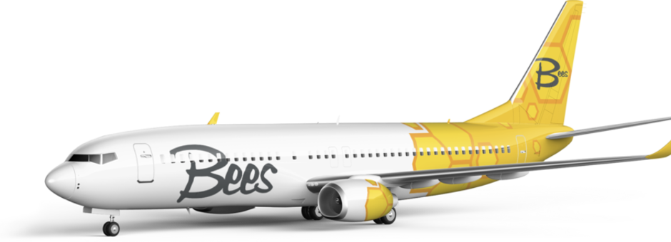 Bees Airline lifts off with AMOS